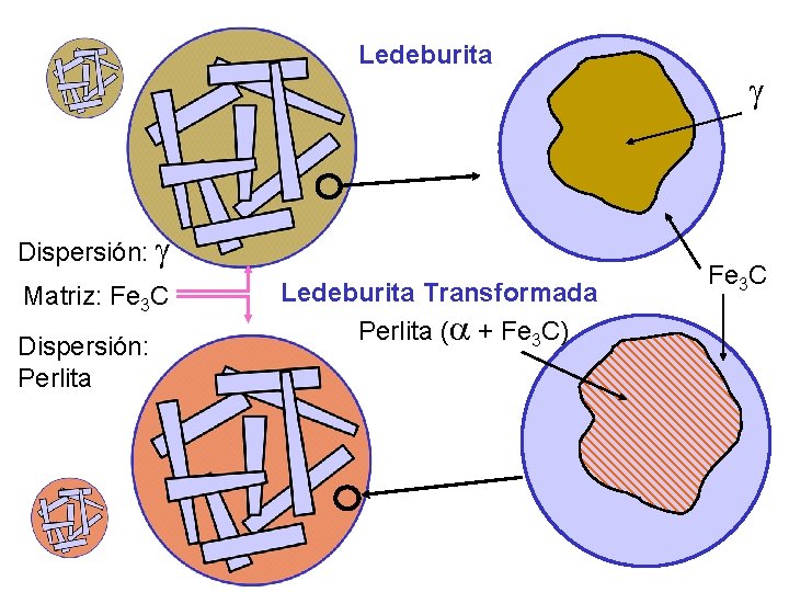 Ledeburita Dispersión: Matriz: Fe 3 C Dispersión: Perlita Ledeburita Transformada Perlita ( + Fe Ledeburita Dispersión: Matriz: Fe 3 C Dispersión: Perlita Ledeburita Transformada Perlita ( + Fe