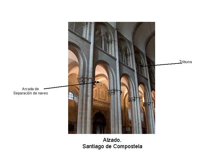 Tribuna Arcada de Separación de naves Alzado. Santiago de Compostela 