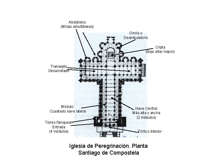 Absidiolos (Misas simultáneas) Girola o Deambulatorio Cripta (Bajo altar mayor) Transepto Desarrollado Módulo: Cuadrado
