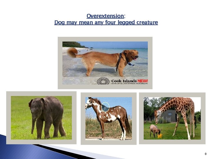 Overextension: Dog may mean any four legged creature 8 Overextension: Dog may mean any four legged creature 8