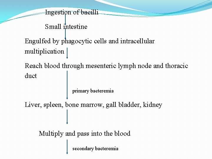 Ingestion of bacilli Small intestine Engulfed by phagocytic cells and intracellular multiplication Reach blood Ingestion of bacilli Small intestine Engulfed by phagocytic cells and intracellular multiplication Reach blood