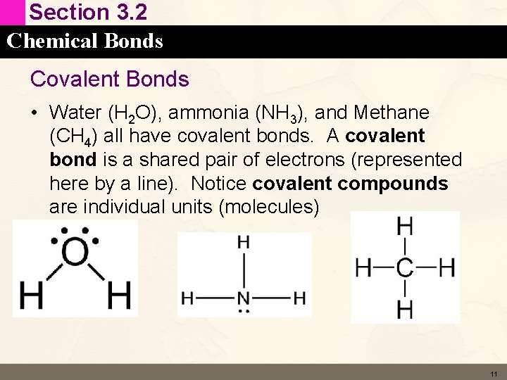 Section 3. 2 Chemical Bonds Covalent Bonds • Water (H 2 O), ammonia (NH