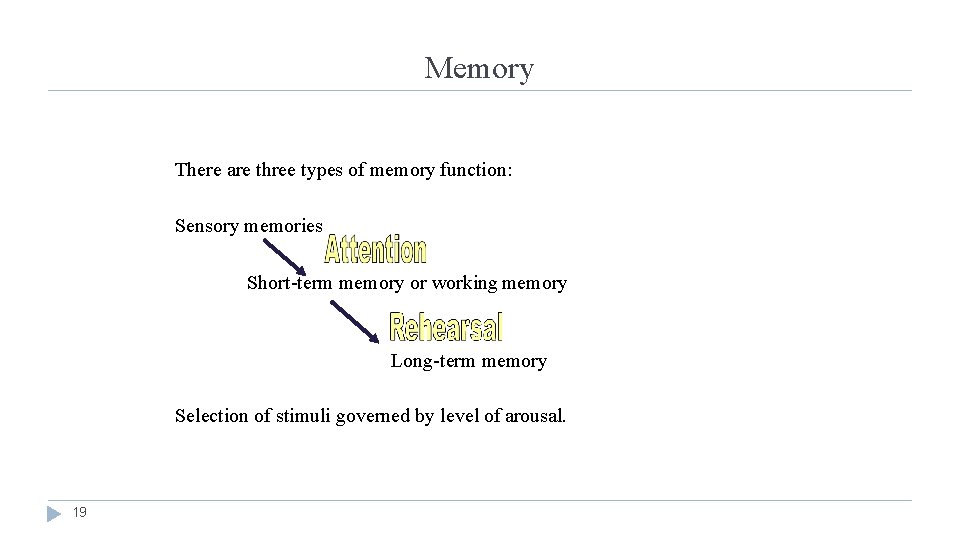 Memory There are three types of memory function: Sensory memories Short-term memory or working