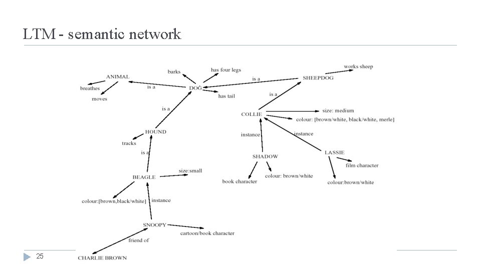 LTM - semantic network 25 