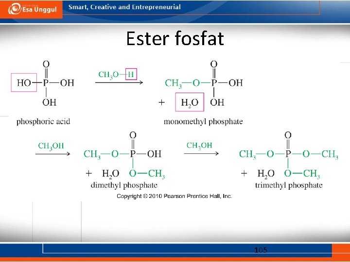 Ester fosfat 105 