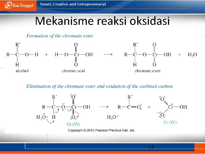 Mekanisme reaksi oksidasi 61 