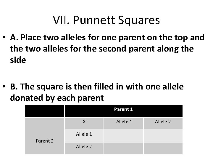 VII. Punnett Squares • A. Place two alleles for one parent on the top