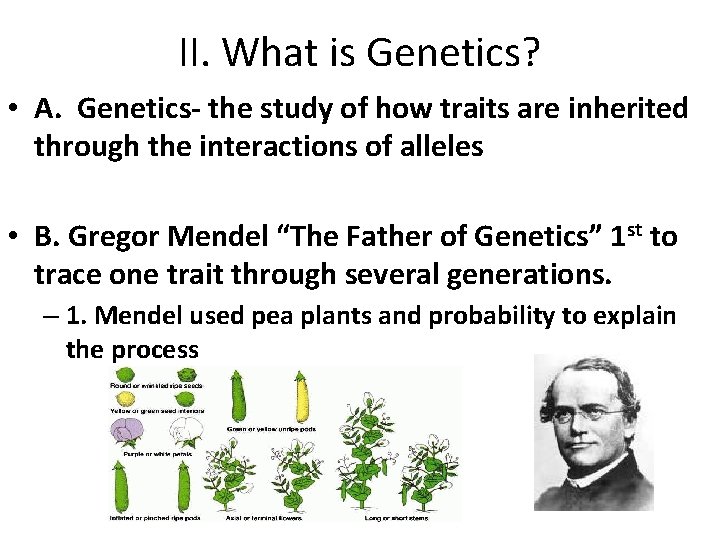 II. What is Genetics? • A. Genetics- the study of how traits are inherited