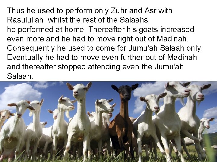 Thus he used to perform only Zuhr and Asr with Rasulullah whilst the rest Thus he used to perform only Zuhr and Asr with Rasulullah whilst the rest