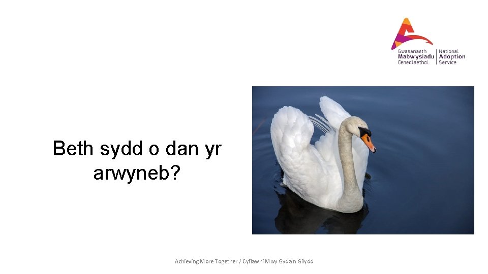 Beth sydd o dan yr arwyneb? Achieving More Together / Cyflawni Mwy Gyda'n Gilydd