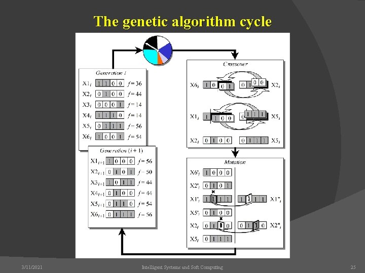 The genetic algorithm cycle 3/11/2021 Intelligent Systems and Soft Computing 25 