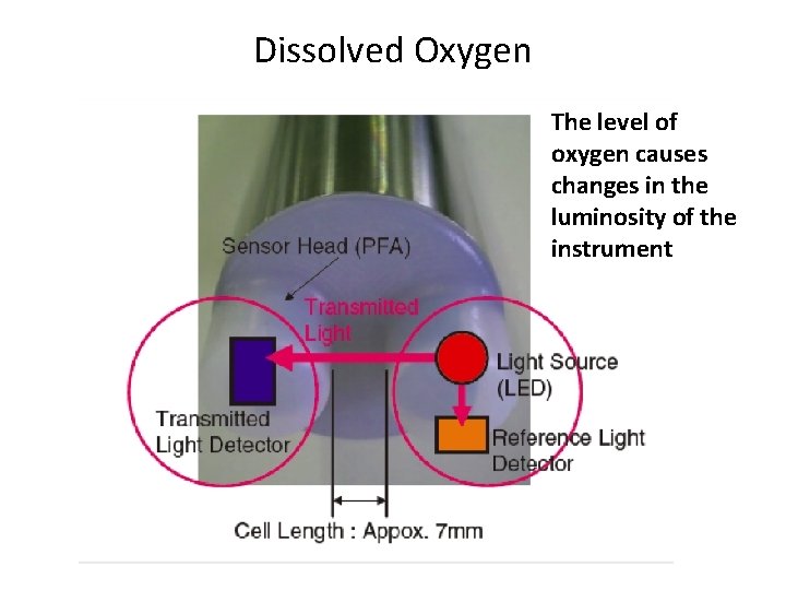 Dissolved Oxygen The level of oxygen causes changes in the luminosity of the instrument Dissolved Oxygen The level of oxygen causes changes in the luminosity of the instrument