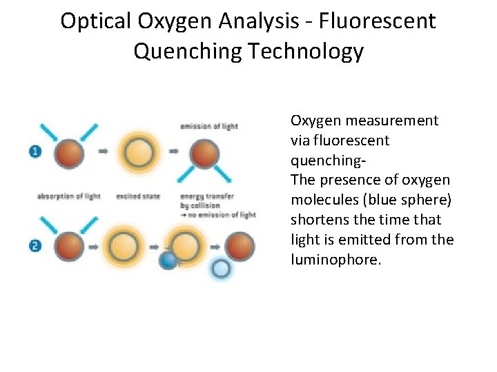 Optical Oxygen Analysis - Fluorescent Quenching Technology Oxygen measurement via fluorescent quenching- The presence Optical Oxygen Analysis - Fluorescent Quenching Technology Oxygen measurement via fluorescent quenching- The presence
