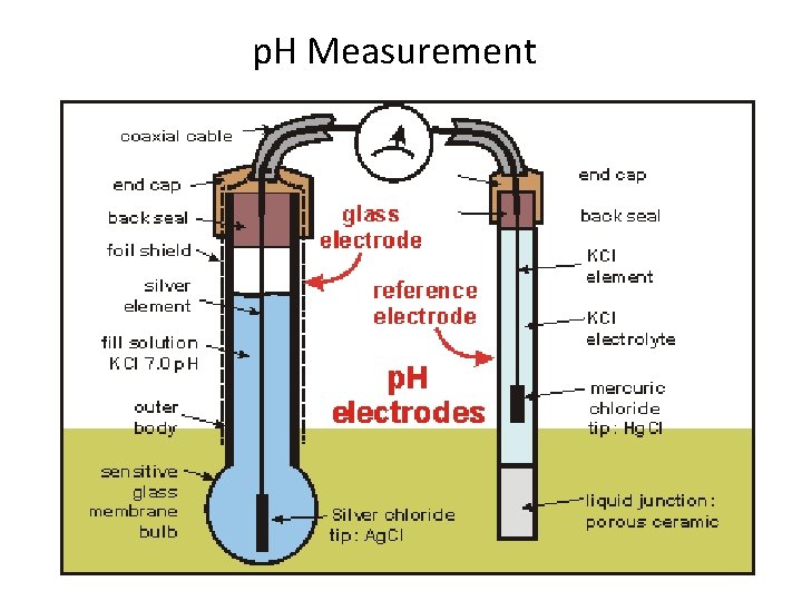 p. H Measurement p. H Measurement