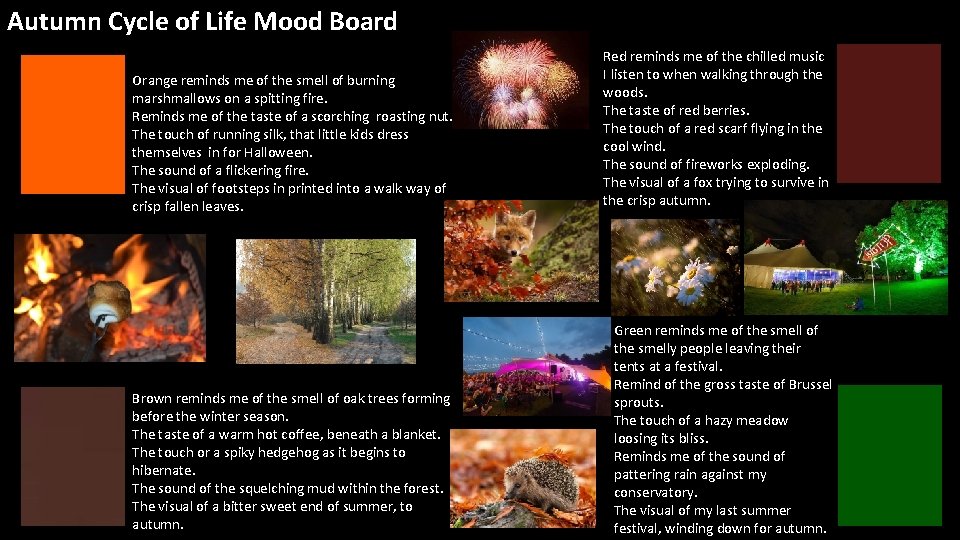 Autumn Cycle of Life Mood Board Orange reminds me of the smell of burning