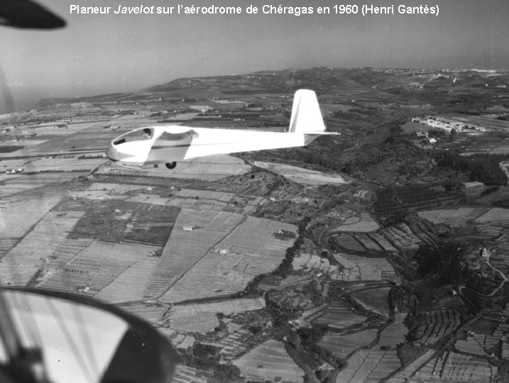 Planeur Javelot sur l’aérodrome de Chéragas en 1960 (Henri Gantès) 