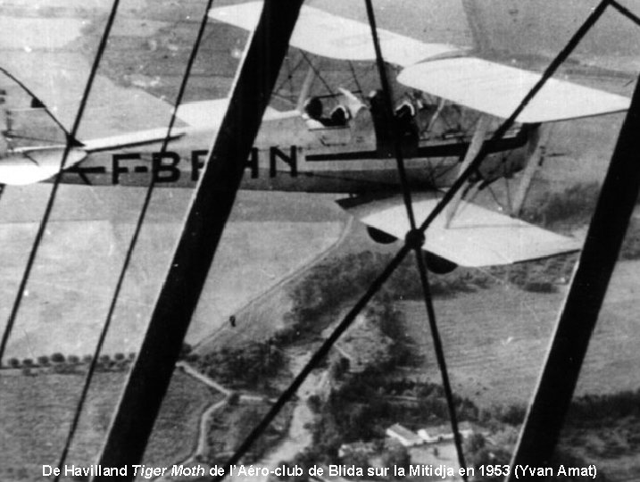 De Havilland Tiger Moth de l’Aéro-club de Blida sur la Mitidja en 1953 (Yvan