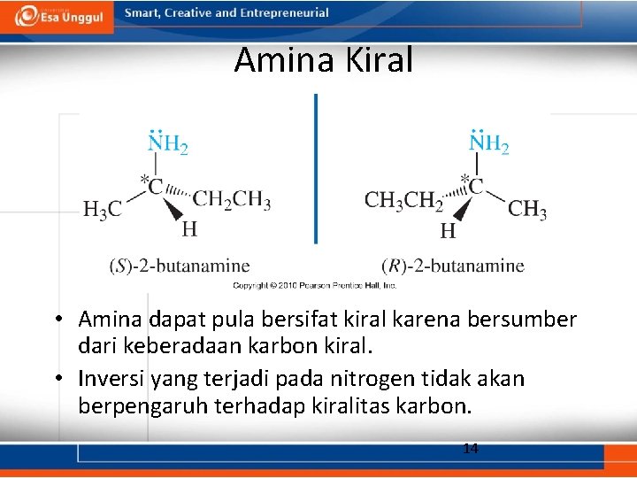 Amina Kiral • Amina dapat pula bersifat kiral karena bersumber dari keberadaan karbon kiral.
