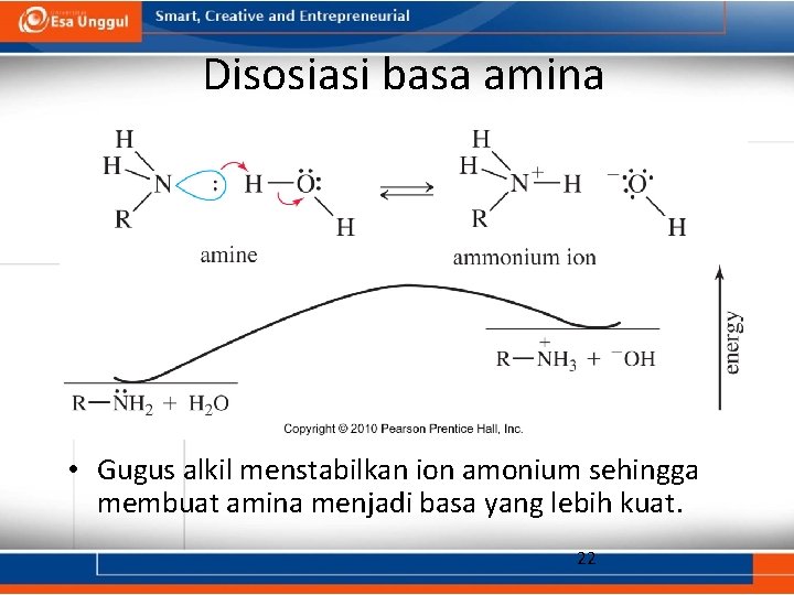 Disosiasi basa amina • Gugus alkil menstabilkan ion amonium sehingga membuat amina menjadi basa