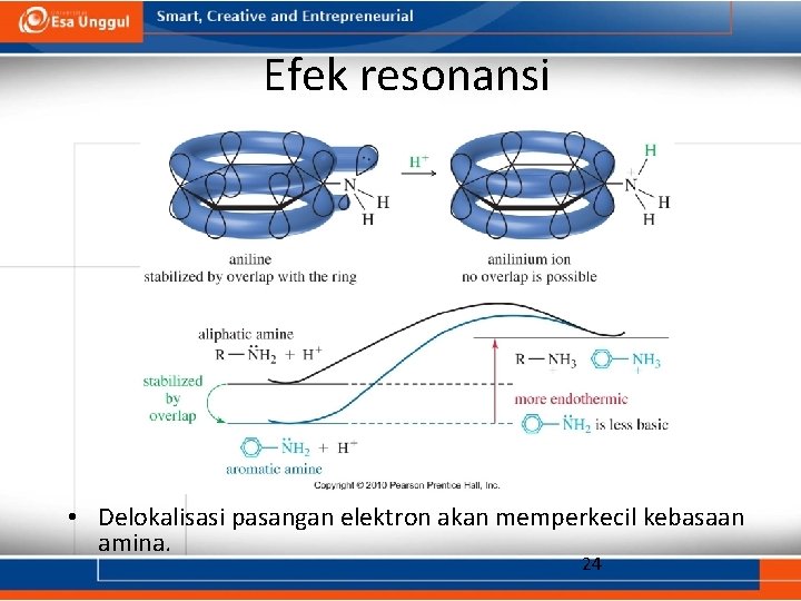 Efek resonansi • Delokalisasi pasangan elektron akan memperkecil kebasaan amina. 24 