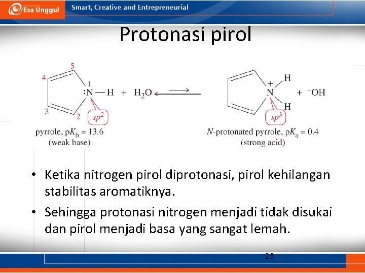 Protonasi pirol • Ketika nitrogen pirol diprotonasi, pirol kehilangan stabilitas aromatiknya. • Sehingga protonasi
