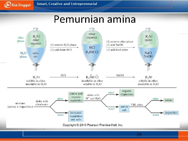 Pemurnian amina 28 