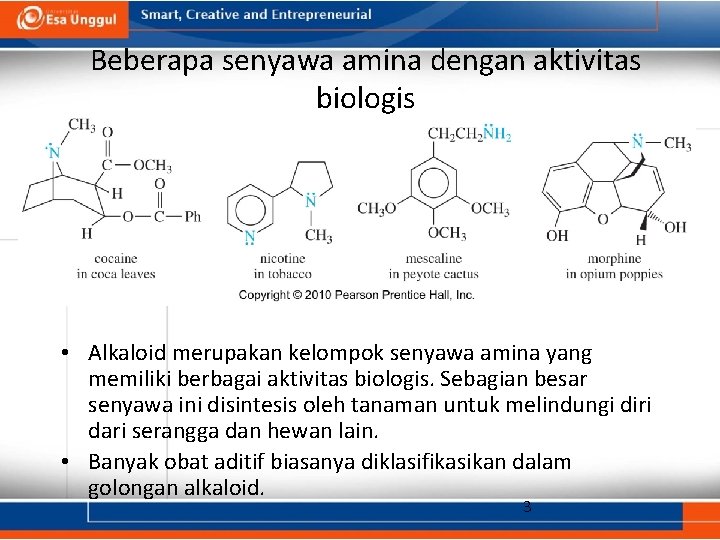 Beberapa senyawa amina dengan aktivitas biologis • Alkaloid merupakan kelompok senyawa amina yang memiliki