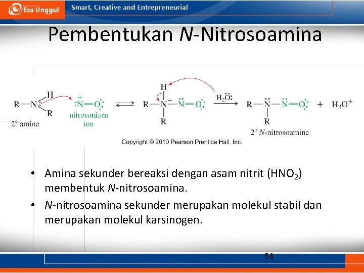 Pembentukan N-Nitrosoamina • Amina sekunder bereaksi dengan asam nitrit (HNO 2) membentuk N-nitrosoamina. •