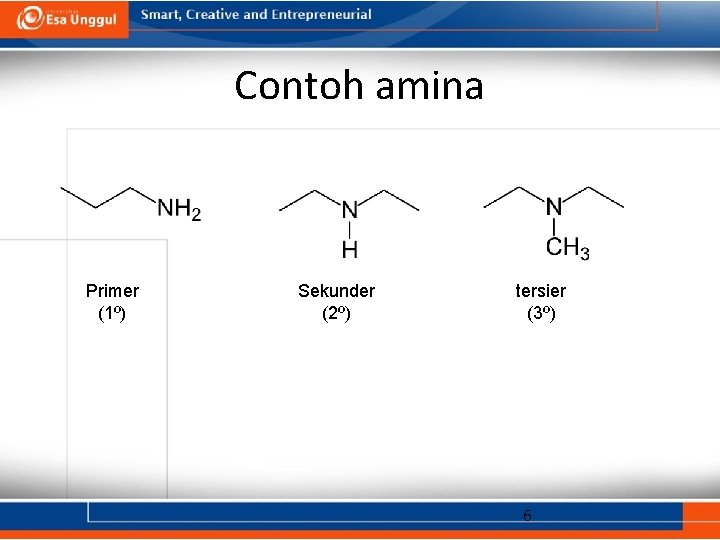 Contoh amina Primer (1º) Sekunder (2º) tersier (3º) 6 