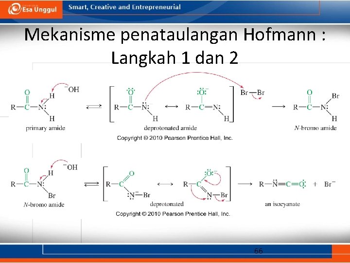 Mekanisme penataulangan Hofmann : Langkah 1 dan 2 66 