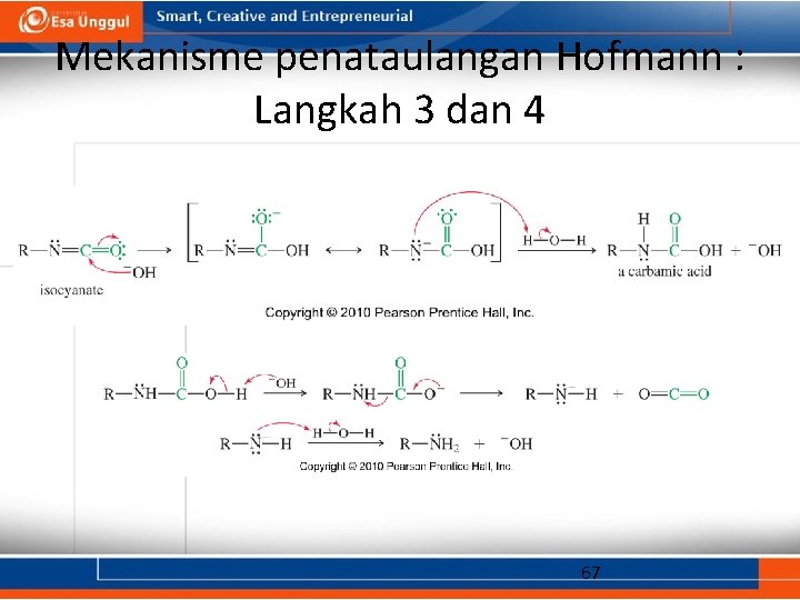 Mekanisme penataulangan Hofmann : Langkah 3 dan 4 67 