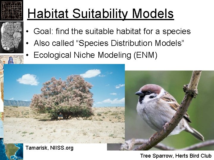 Habitat Suitability Models • Goal: find the suitable habitat for a species • Also