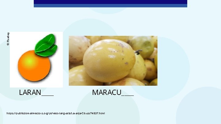 © Pixabay LARAN____ MARACU____ https: //publicdomainvectors. org/pt/vetorial-gratis/Laranja-Citrus/74637. html 