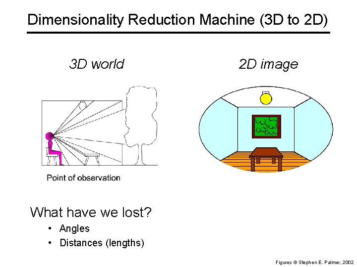 Dimensionality Reduction Machine (3 D to 2 D) 3 D world 2 D image