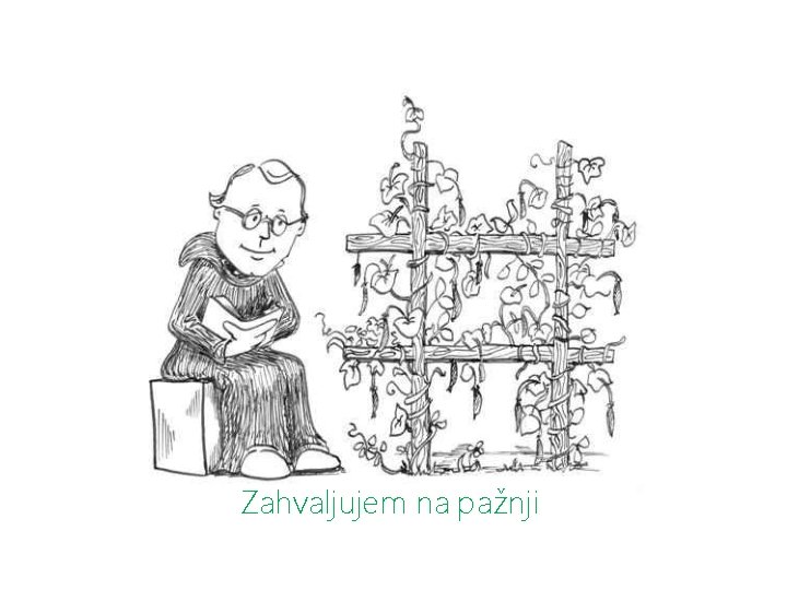 Zahvaljujem na pažnji Zahvaljujem na pažnji