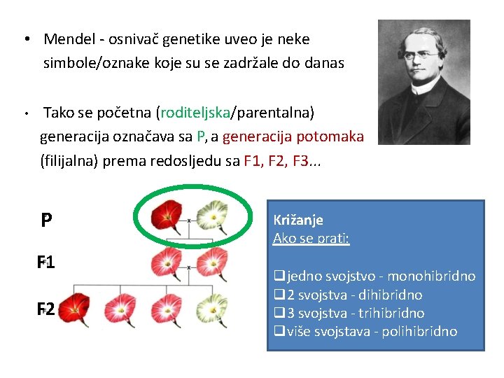 • Mendel - osnivač genetike uveo je neke simbole/oznake koje su se zadržale • Mendel - osnivač genetike uveo je neke simbole/oznake koje su se zadržale