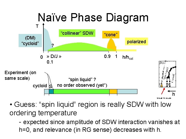 Naïve Phase Diagram T (DM) “cycloid” “collinear” SDW “cone” polarized ? 0 » D/J