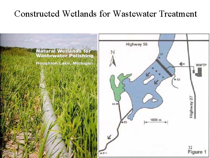 Constructed Wetlands for Wastewater Treatment 32 