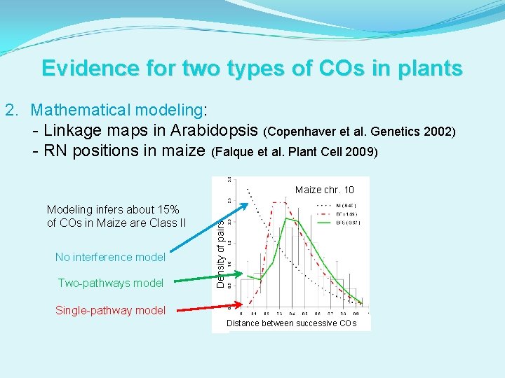 Evidence for two types of COs in plants 2. Mathematical modeling: - Linkage maps