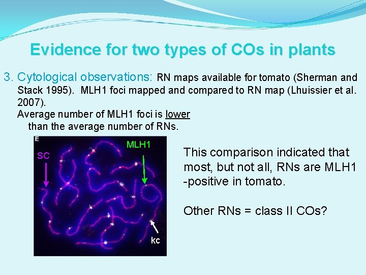 Evidence for two types of COs in plants 3. Cytological observations: RN maps available