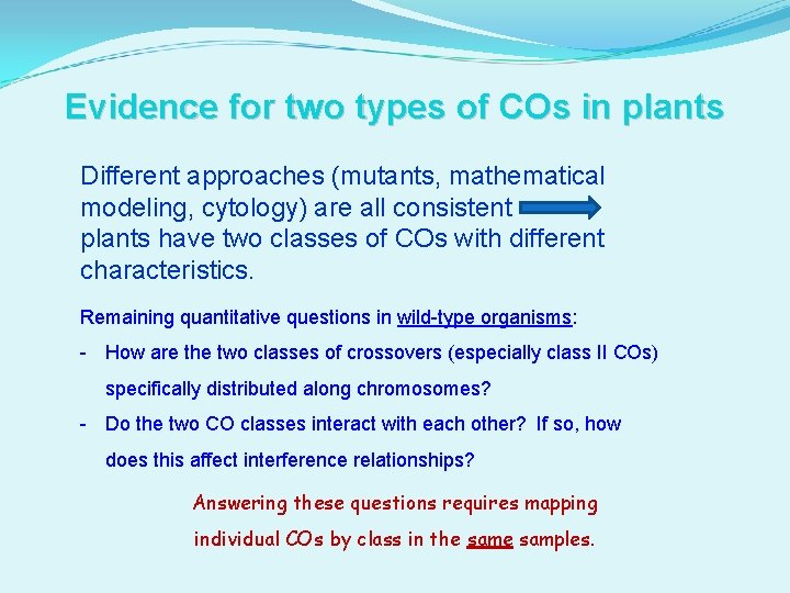 Evidence for two types of COs in plants Different approaches (mutants, mathematical modeling, cytology)