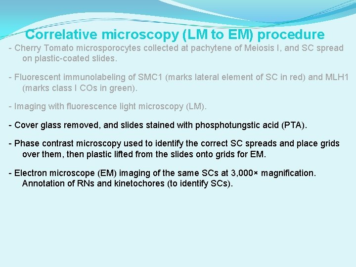 Correlative microscopy (LM to EM) procedure - Cherry Tomato microsporocytes collected at pachytene of