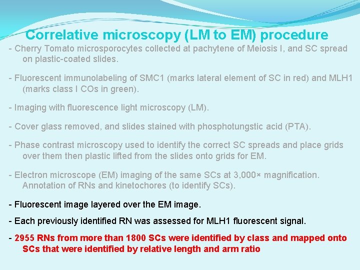 Correlative microscopy (LM to EM) procedure - Cherry Tomato microsporocytes collected at pachytene of
