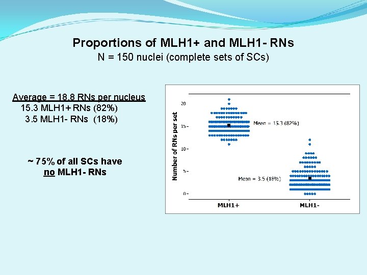 Proportions of MLH 1+ and MLH 1 - RNs N = 150 nuclei (complete