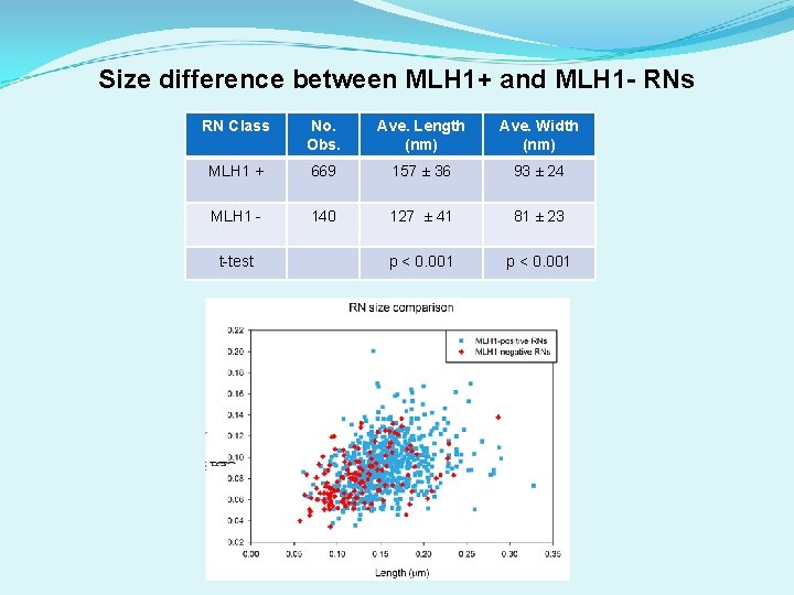 Size difference between MLH 1+ and MLH 1 - RNs RN Class No. Obs.