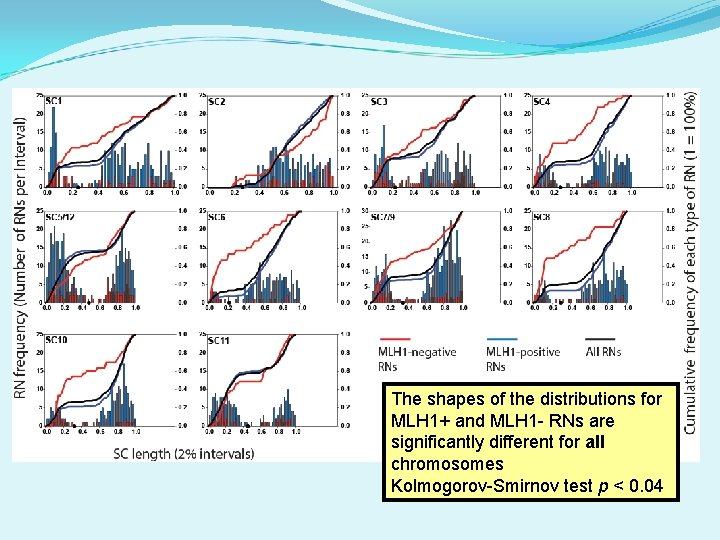 The shapes of the distributions for MLH 1+ and MLH 1 - RNs are