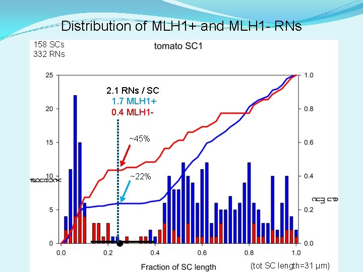 Distribution of MLH 1+ and MLH 1 - RNs 158 SCs 332 RNs 2.