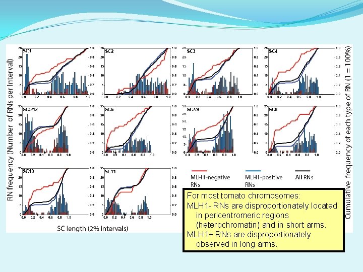 For most tomato chromosomes: MLH 1 - RNs are disproportionately located in pericentromeric regions
