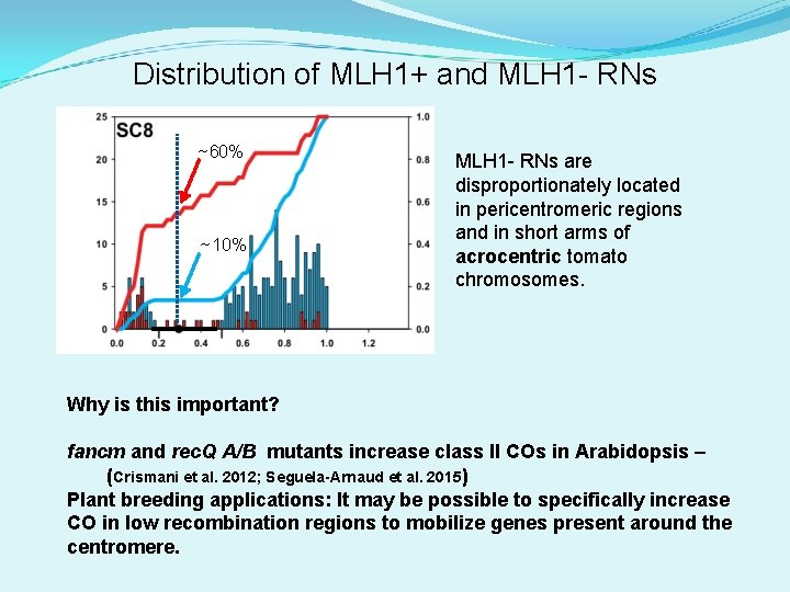 Distribution of MLH 1+ and MLH 1 - RNs ~60% ~10% MLH 1 -