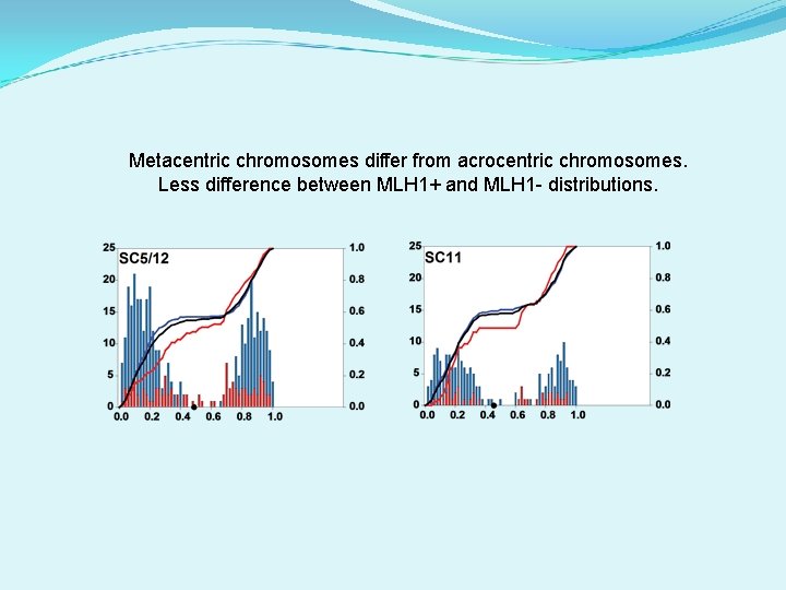 Metacentric chromosomes differ from acrocentric chromosomes. Less difference between MLH 1+ and MLH 1